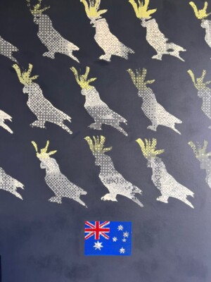 Australian National V